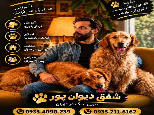 بهترین مربی سگ در کرج | آقای شفق دیوان پور