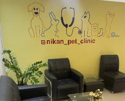 بهترین کلینیک ها و بیمارستان های دامپزشکی در مشهد | کلینیک نیکان