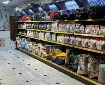 بهترین کلینیک ها و بیمارستان های دامپزشکی در مشهد | کلینیک نیکان