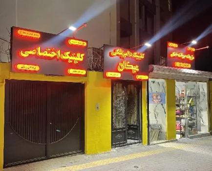 بهترین کلینیک ها و بیمارستان های دامپزشکی در مشهد | کلینیک نیکان