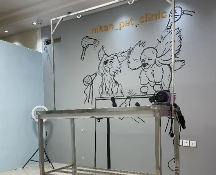 بهترین کلینیک ها و بیمارستان های دامپزشکی در مشهد | کلینیک نیکان